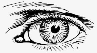 Eyeball Graphics - Eye Png