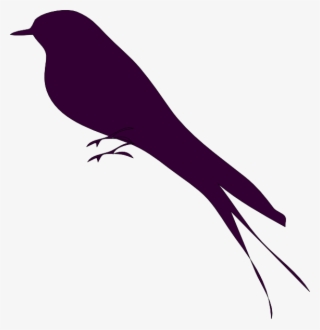 Mockingbird Png - Bird Small Pictures In Clipart
