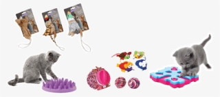 Cat Toys - British Shorthair