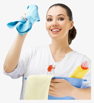 London Shine Domestic Cleaning Services South West - Capacitación De Limpieza