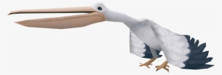 White Stork
