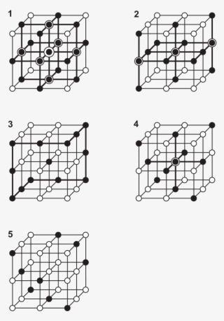 A Diagrammatic Illustration Of The Five Distinct Types - Diagram