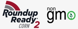 2414 Rr Corn 2 Non Gmo - Graphic Design