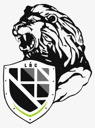 Most Recent Projects - Crest