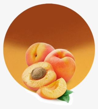 Com/wp Filling - Apricots Transparent