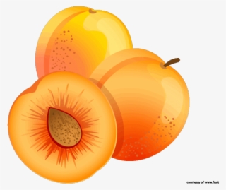 Apricot Clipart Appricot - Clipart Apricots Png