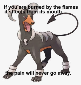 Apply Cold Water To That Burn - Pokemon Houndoom