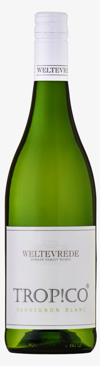 Trop Co Sauvignon Blanc