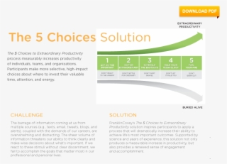 The Process - Brochure