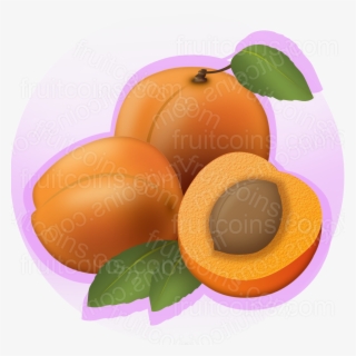 Apricot - Tangerine