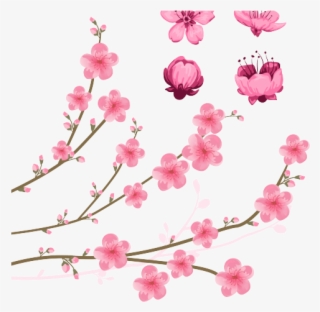 Drawn Sakura Blossom 5 Petal Flower - Flower Vector Png