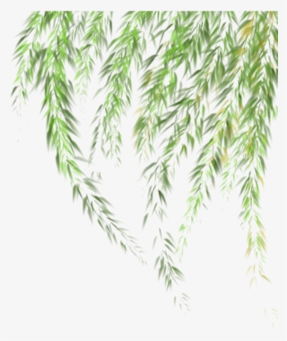 Willow Sticker - Grass
