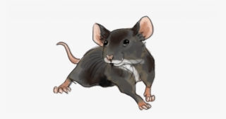 Felt Pen Mouse - Rat