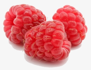 Raspberry Png File - Raspberry File Png