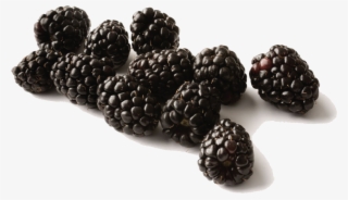 Black Raspberries Transparent Background - Black Raspberries Png