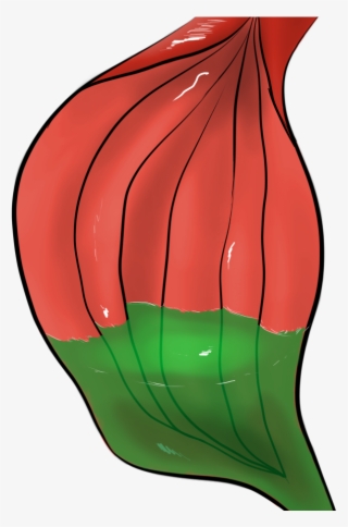 Free To Use Stomach With Acid - Hot Air Balloon