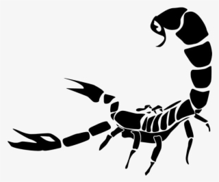 Scorpio Tattoo Png Photo - Scorpion Png