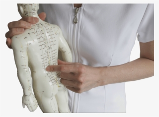 Human-body - Traditional Chinese Medicine