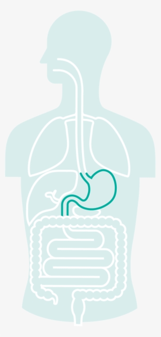Gi Cancer - Stomach