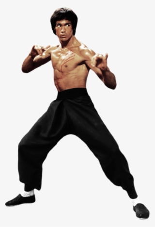 The Dragon Fight By Gdsfgs Bruce Lee Photos, Brandon - Free Transparent Bruce Lee