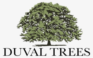 River Birch Png - Doubletree By Hilton Zagreb Logo