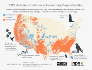 Did The Groundhog Get It Right This Year - United States Geological Survey