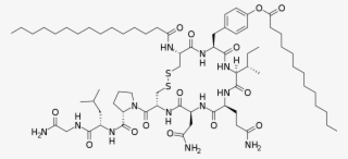 Related Posts - 8 Arginine Vasopressin