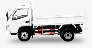 Neptune D Mini Dump Truck - Commercial Vehicle