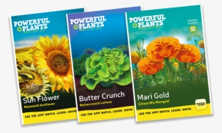 Meet The Full Cast Of Powerful Plants Characters - Sunflower