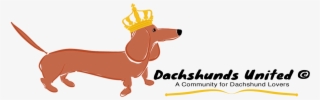 Dachshunds United - Dachshund