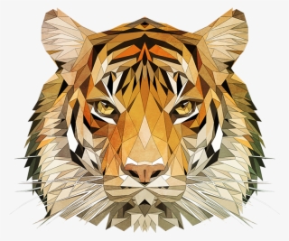 Then I Mirrored And Tweeked One Half Of The Tiger To - Siberian Tiger