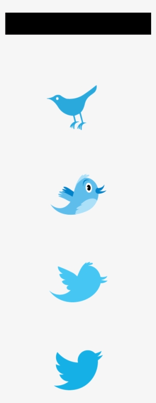 Never Miss A Moment - Twitter Bird