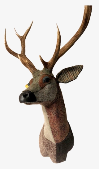 Deer Merlin Sika - Elk