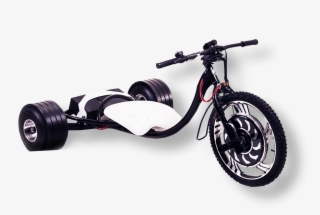 Embrace Your Inner Animal - Tricycle