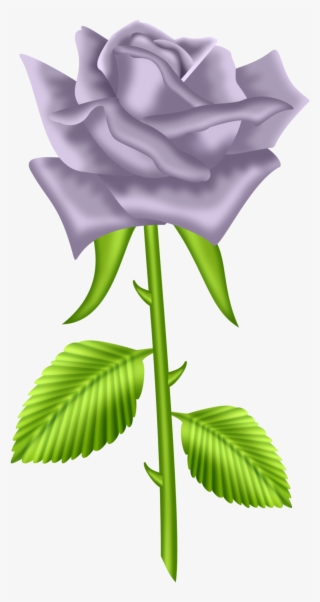 Site Russe, Black And White Roses, Clipart Design, - Rose