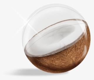 Inflatable 3d Beach Ball - Inflatable Coconut