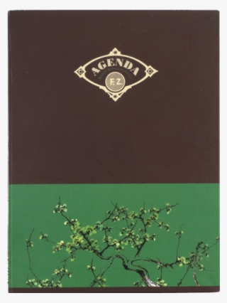 Bougainvillea - Book Cover