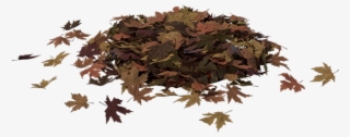 Pile Of Leaves - Camouflage
