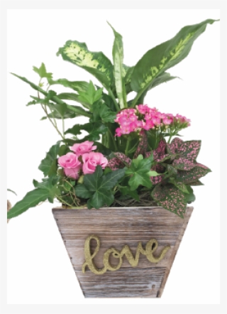 Forever Wooden Planter