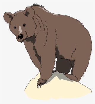 Rock Clipart Png - Brown Bear Icon