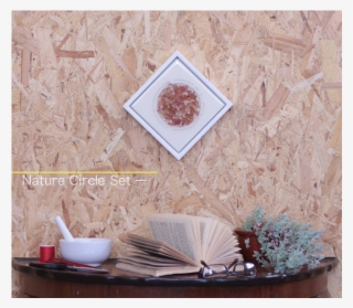 Nature Circle Set 1 Front Home Japanese Maple Gillies - Coffee Table