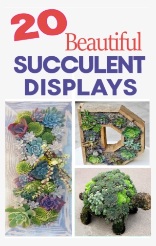 Professionally Design A Flower Bed - Succulent Garden