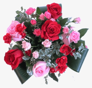 Order Now - Garden Roses