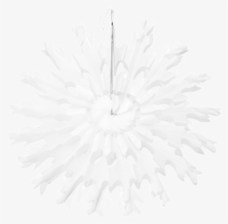 Copo De Nieve Ø 25 Cm - Analogous Color Scheme Logo