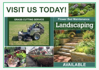 Sunrise Garden Centre - Yard