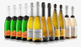 Mixed 12 Bottle Prosecco And Fizz Offer - Champagne