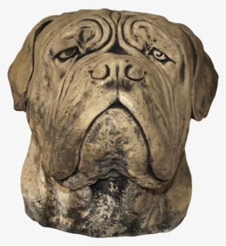 Large Dog Head