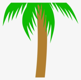 Tropics Clipart Palm Frond - Palm Tree