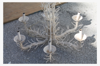 Coral Metal Chandelier - Chandelier