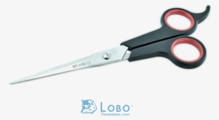Tijera Peluquero Microdentada Acero Inoixidable Negro - Scissors